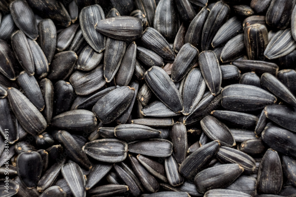 sunflower seeds lying in a plate can serve as a background_ sunflower seeds lying in a plate can serve as a background_