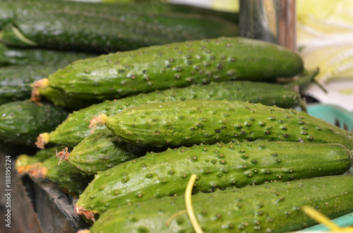 Green fresh cucumber in box on sale