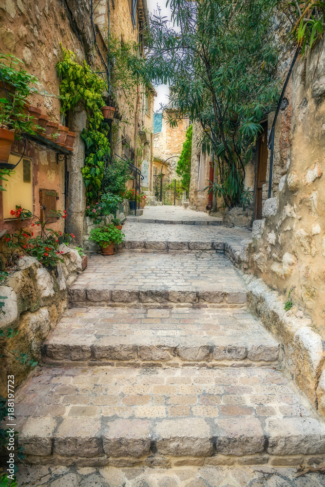 Fototapeta premium Narrow cobbled street with flowers in the old village Tourrettes-sur-Loup , France.