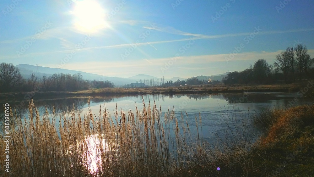 Fototapeta premium Staw w Trzcianie