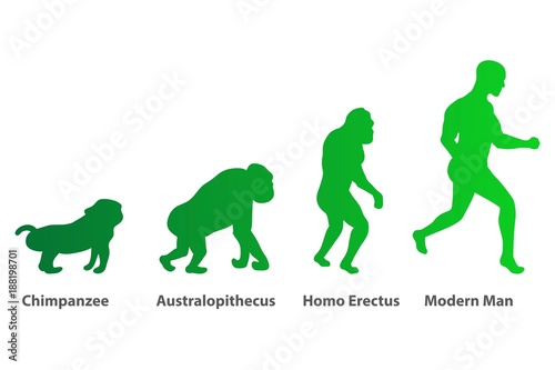Illustration of Human evolution process. 4 stages. Darwin's theory. Green vector silhouettes.