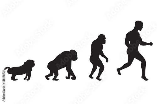 Illustration of Human evolution process. 4 stages. Darwin's theory. Black vector silhouettes.