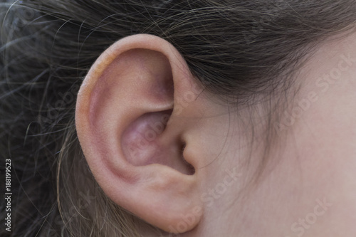 orecchio destro photo