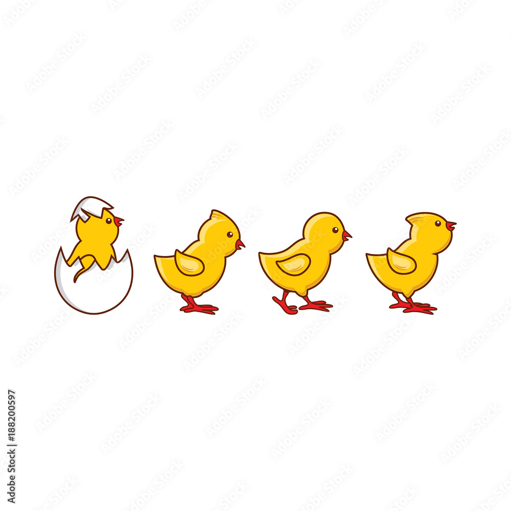 vector flat cute baby chickens walking in line, yellow small chick hatching from egg set. Flat bird animal, isolated illustration on a white background, poultry, farm organic food products design