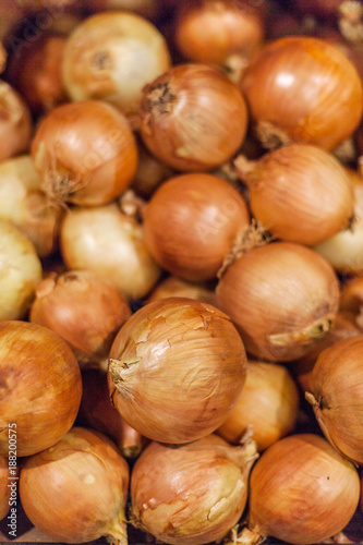 Fresh onions. Colorful Display Of Yellow Onions In Market. Onions background close up