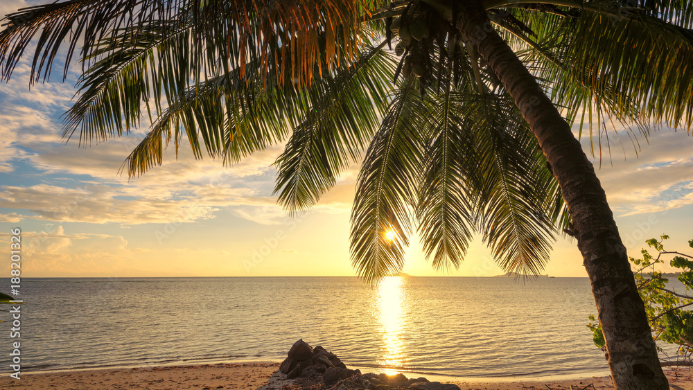 Palm tree on tropical beach at sunset. Summer vacation and holiday travel concept. 
