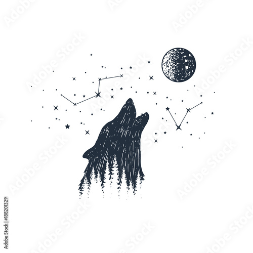 Hand drawn howling wolf and constellations textured vector illustrations.