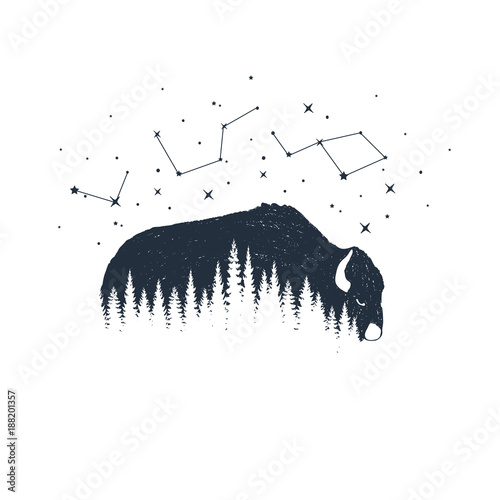 Hand drawn buffalo and constellations textured vector illustrations.