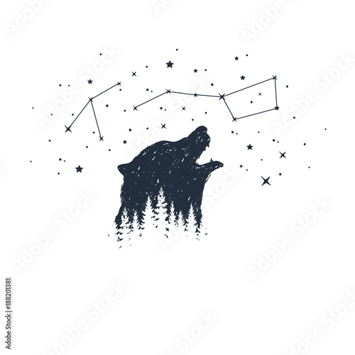 Hand drawn bear and constellations textured vector illustrations.