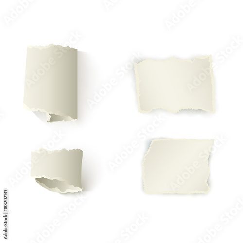 Wallpaper Mural Vector set of torn paper set. Different shapes of blank scraps. Twisted sheets with ripped edges for your design. Realistic isolated illustration on a white background. Torontodigital.ca