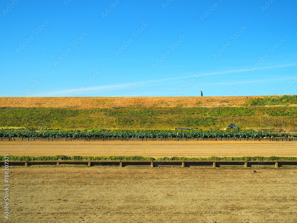 冬の畑と土手風景 Stock Photo Adobe Stock
