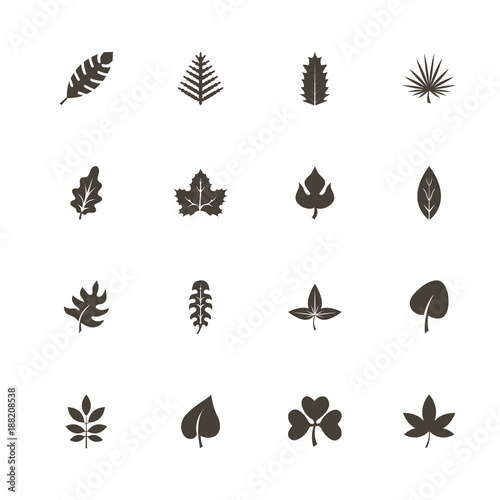 Herb icons. Perfect black pictogram on white background. Flat simple vector icon.