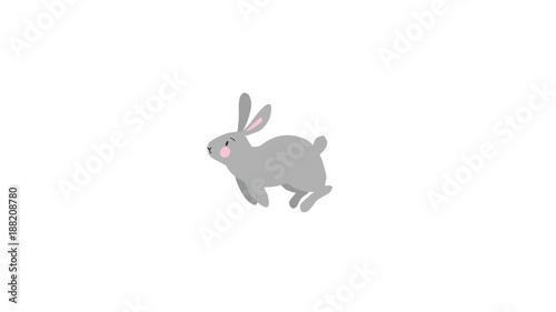 2D animation of running cute grey rabbit, bunny isolated on white background. Spring, Easter concept. Loopable HD footage.