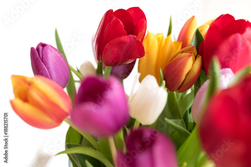 Fototapeta Naklejka Na Ścianę i Meble -  Colorful tulips for mothers day