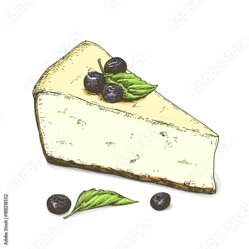 Hand drawn cheesecake with blueberries and mint leaves, colorful sketch isolated on white background. Vintage vector food illustration.