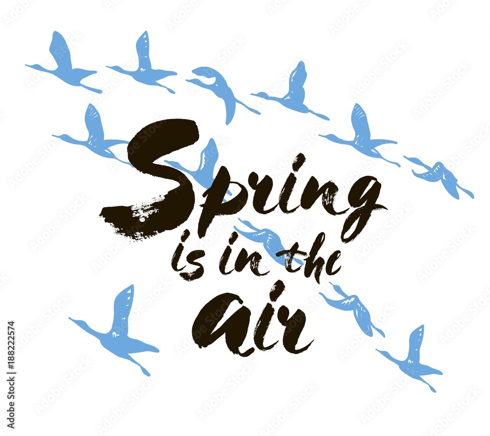 Obraz premium Spring is in the air postcard. Ink illustration. Modern brush calligraphy. Isolated on white background with birds.