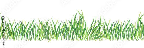 Fresh green grass - seamless pattern. Watercolor hand drawn painting illustration isolated on a white background. Summer grassy element for design, nature landscape. Organic, bio, eco label and shape.