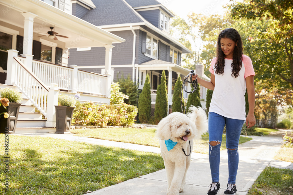 Girl Walking Dog Along Suburban Street Girl Walking Dog Along Suburban Street
