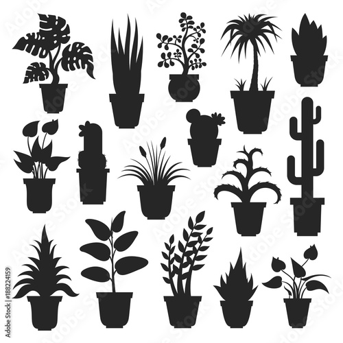 House plants silhouettes