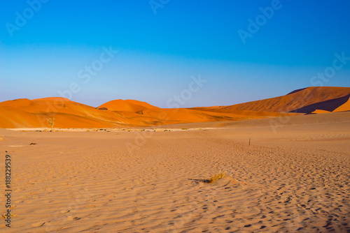 Sand dunes Namib desert  salt flat  roadtrip in the wonderful Namib Naukluft National Park  travel destination in Namibia  Africa.