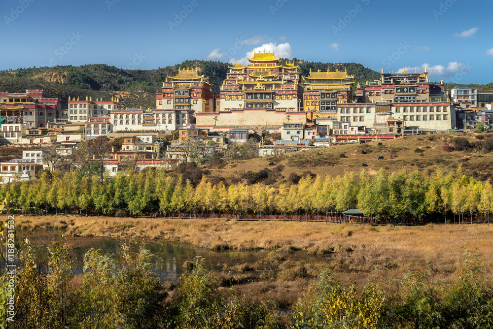 Songzanlin Monastery with line tree foreground and mountain range background in clear blue sky day, Shangri-la, Zhongdian, Yunnan, China