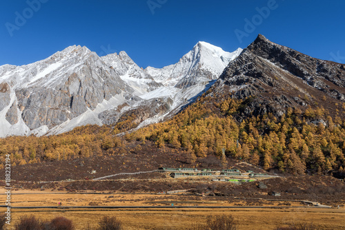 Mountain range and snow peak with pine forest and tourist shelter in autumn season in clear blue sky day at Yading National Park, Daocheng, Sichuan, China