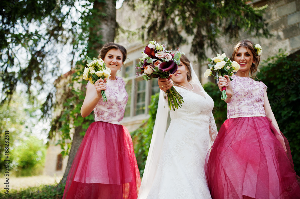 Happy bride and outgoing bridesmaids having fun on the wedding day next to a castle.