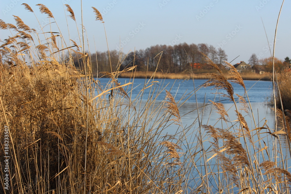 Fototapeta premium Natur in Brandenburg