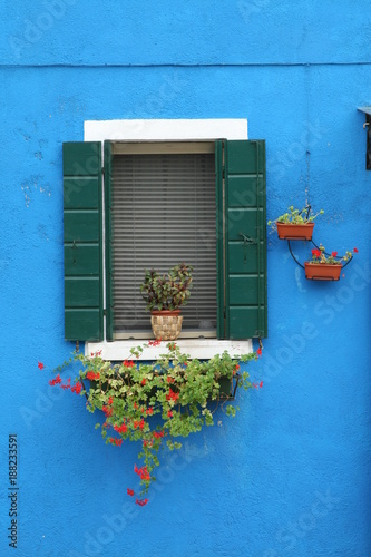 Window with flowers