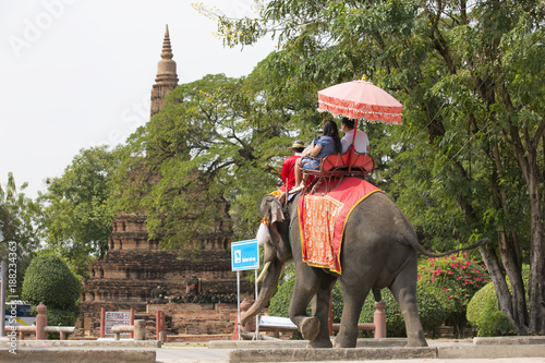 traveller sitting on elephant watching pagoda of ayutthaya on holiday © photostriker