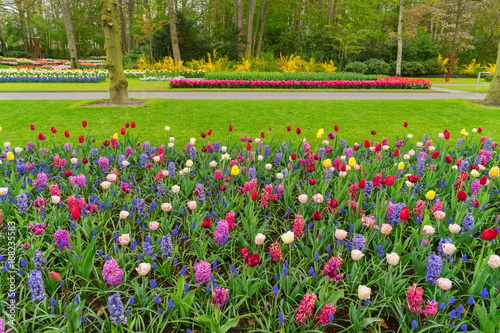 Fototapeta Naklejka Na Ścianę i Meble -  Formal spring garden