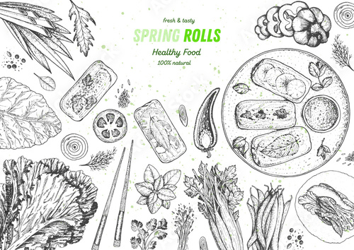 Asian food menu design template. Spring rolls and ingredients for spring rolls vector illustration. Vietnamese food top view frame. Vintage hand drawn sketch vector illustration. Engraved image.