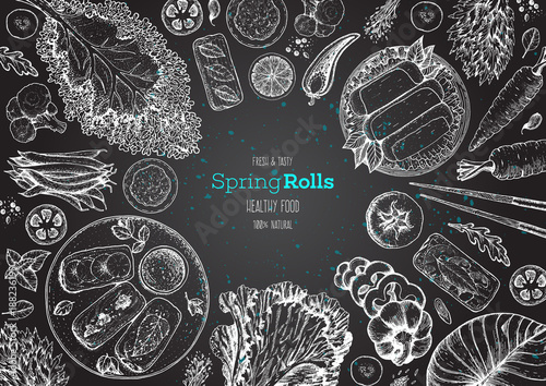 Asian food menu design template. Spring rolls and ingredients for spring rolls vector illustration. Vietnamese food top view frame. Vintage hand drawn sketch vector illustration. Engraved image.