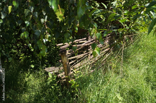 Wooden wicker fence under the branches of a green tree on the grass on a summer day