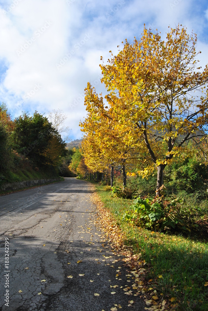 Naklejka premium Natura autunnale