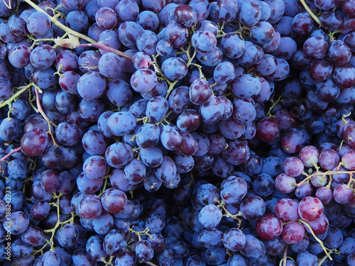 Fresh blue and purple grapes in the market