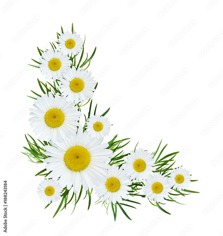 Obraz premium Wild flowers corner composition
