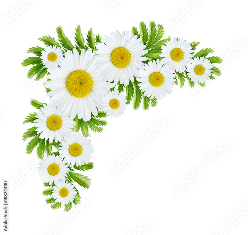 Wild flowers corner arrange...