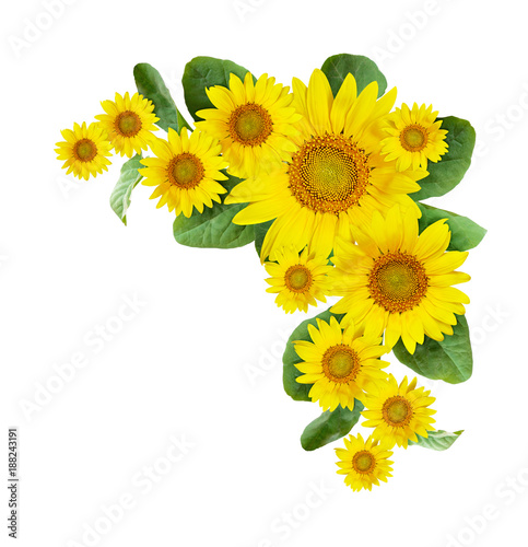 Sunflowers corner arrangement