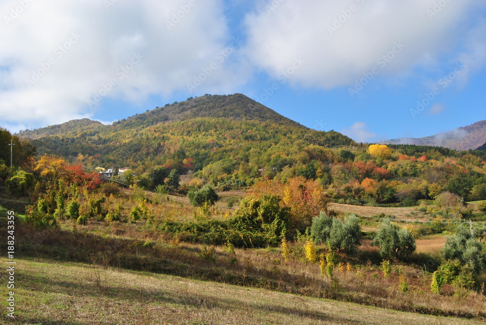 Naklejka premium Natura autunnale