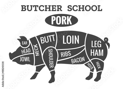 Vintage pig cuts. Pork butcher diagram for grilled chop school vector illustration