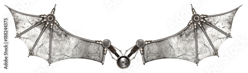 Steampunk wings bat isolated photo