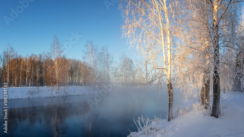 Заснеженный зимний лес с кустами и березами на берегу реки с туманом, Россия, Урал, январь