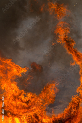 Flames Power during a Forest Fire.