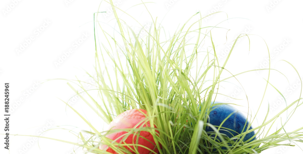 Fototapeta premium Easter eggs hidden in tall green leaves of grass