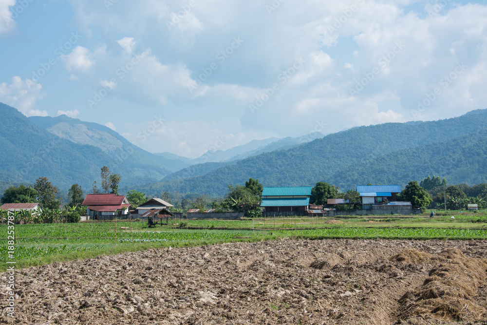 Naklejka premium small village in the green rice fields in Pua ,Nan Province ,Thailand