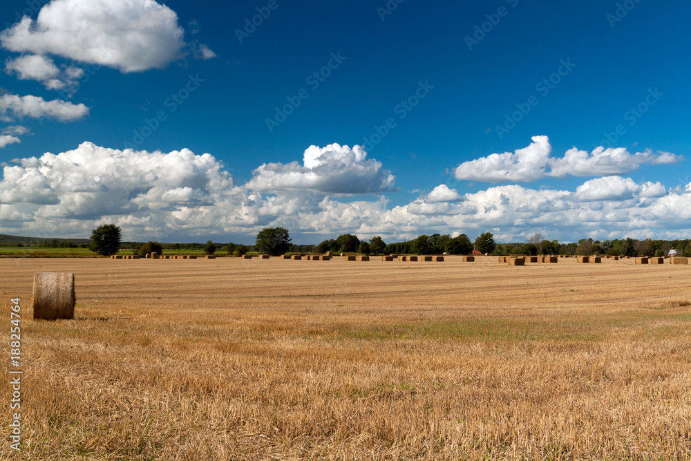 Hay bales on the swedish field