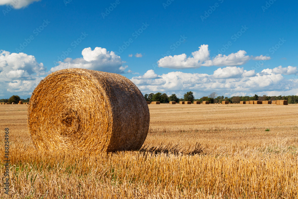 Hay bales on the swedish field