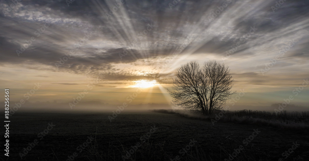 Fototapeta premium Foggy landscape