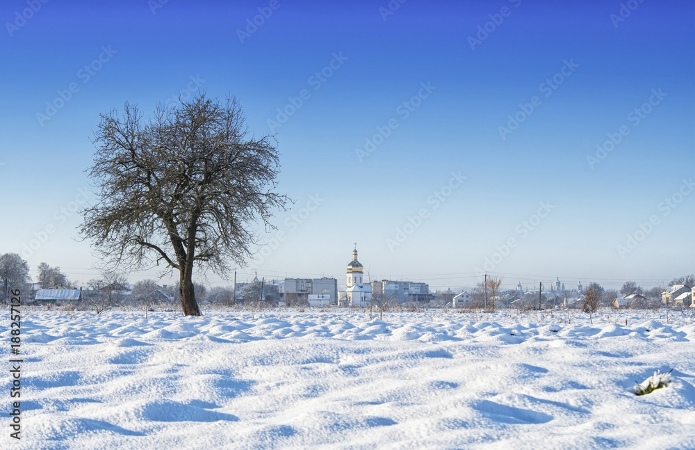 winter tree